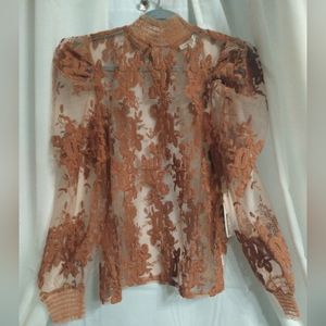 sheer puffy sleeve top